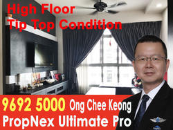 Blk 458 Segar Road (Bukit Panjang), HDB 4 Rooms #154133332